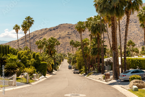 street of palm spring