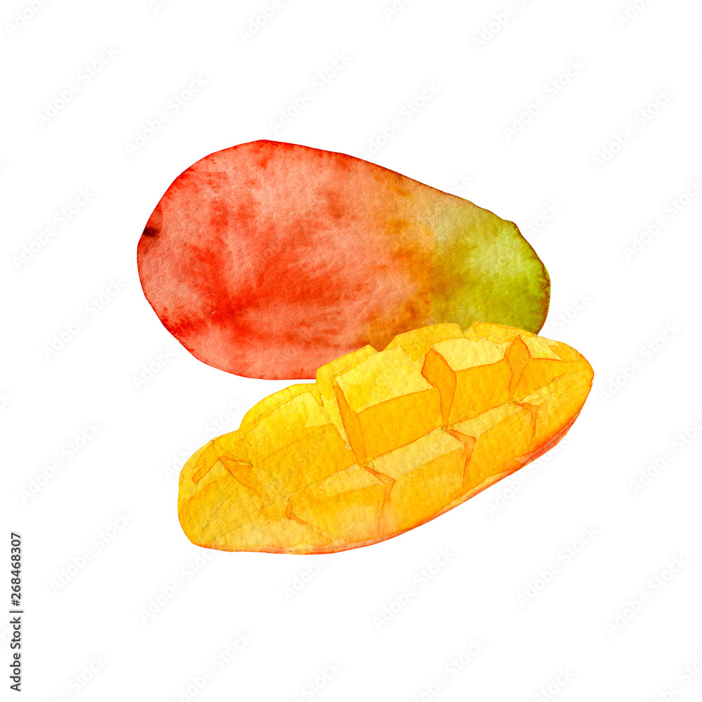 夏 トロピカルフルーツ マンゴー 水彩 イラスト Stock Illustration Adobe Stock