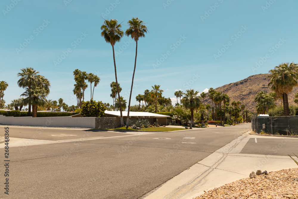 Obraz premium street of palm spring