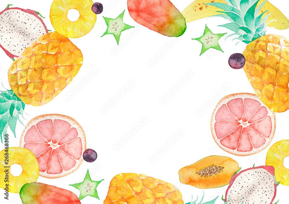 夏 背景 フレーム トロピカルフルーツ 水彩 イラスト Stock Illustration Adobe Stock