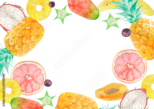 夏 背景 フレーム トロピカルフルーツ 水彩 イラスト Stock Illustration Adobe Stock