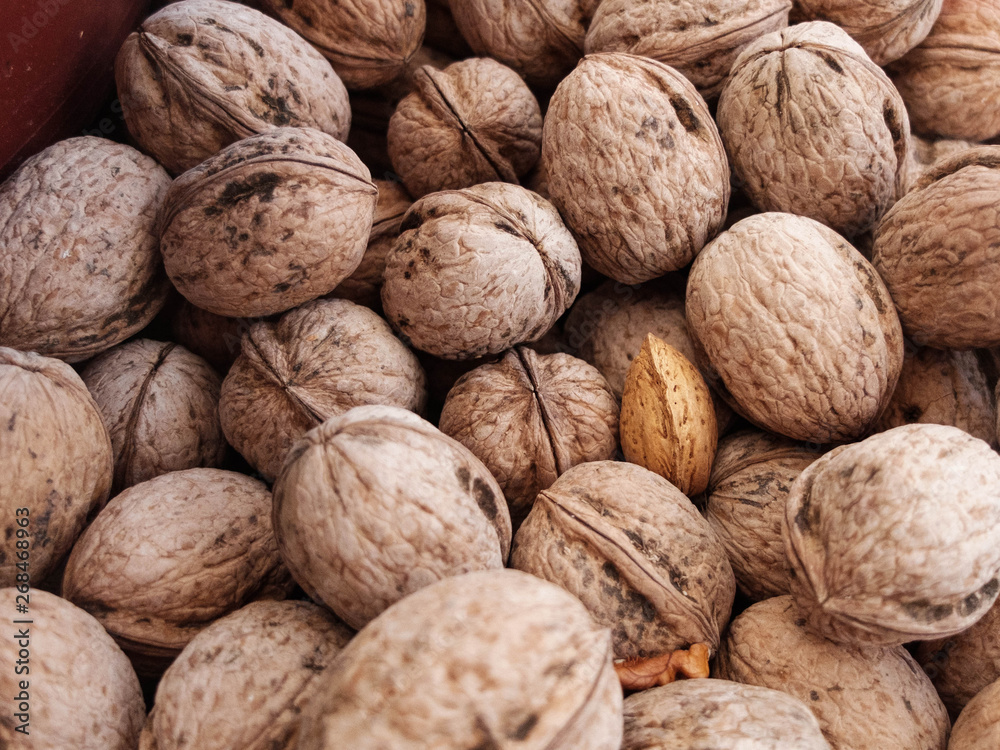 Almond kernel in the shell between walnuts. Different between others concept Almond kernel in the shell between walnuts. Different between others concept
