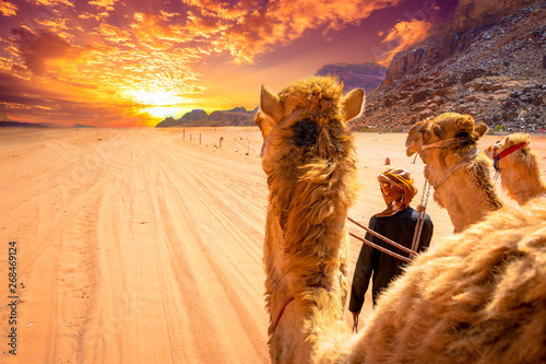 Beduin and camels in Wadi Rum desert in Jordan 