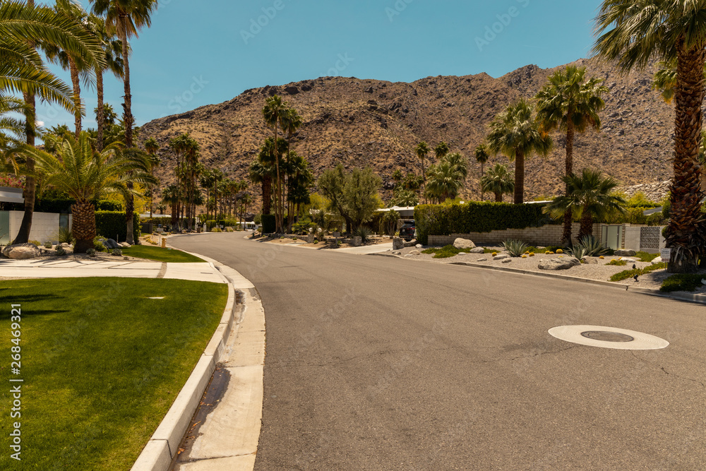 street of palm spring