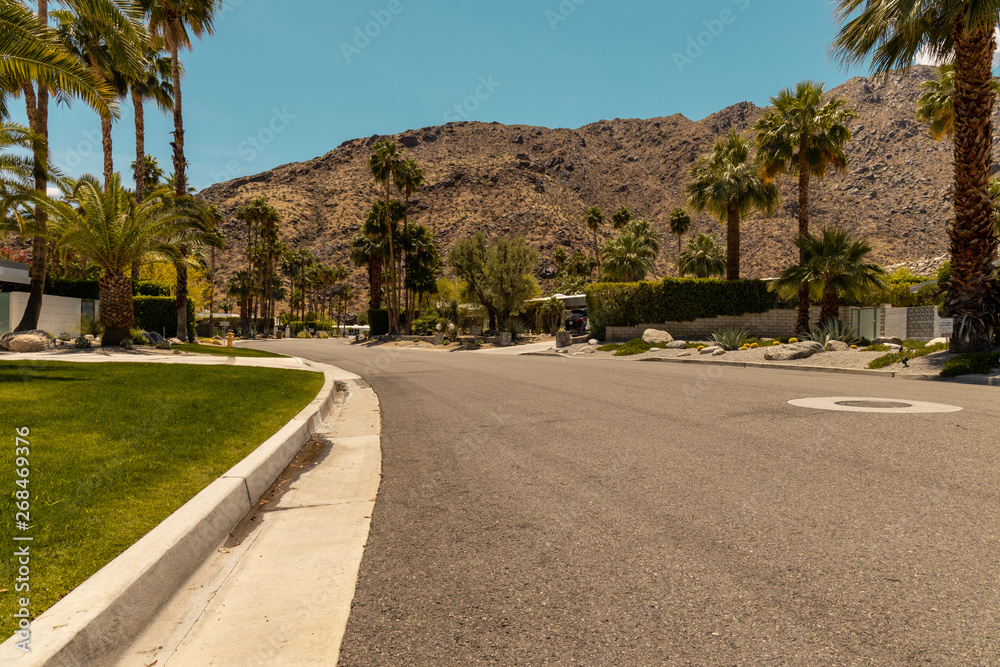 street of palm spring