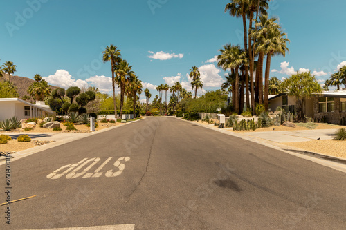 street of palm spring