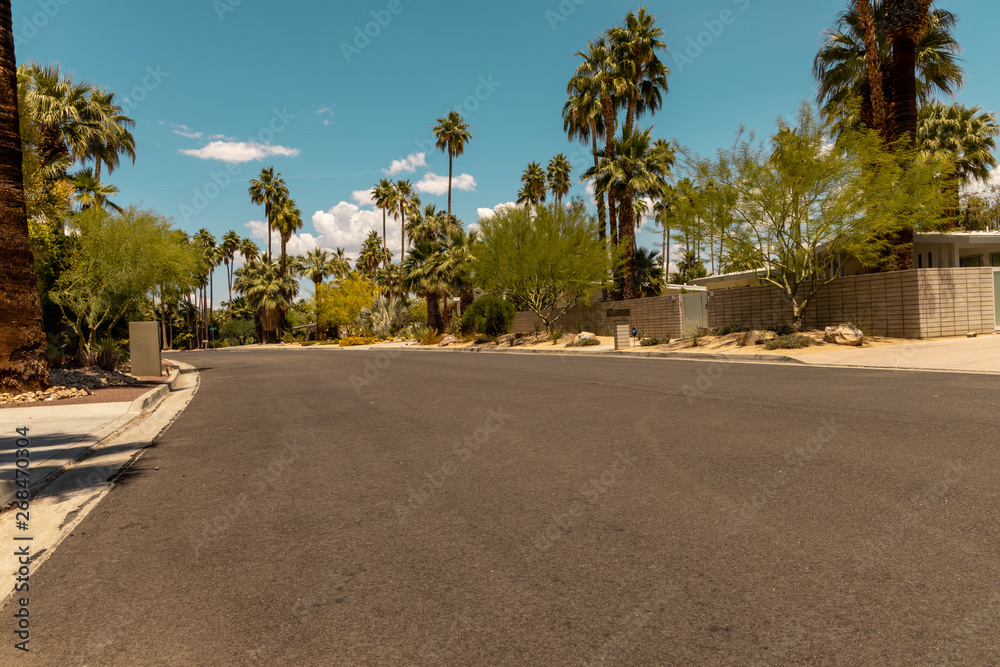 street of palm spring