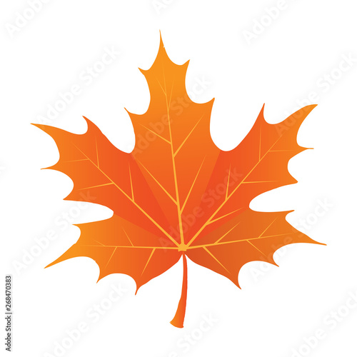 Isolated maple leave.Maple leaves in autumn. Vector EPS 10.