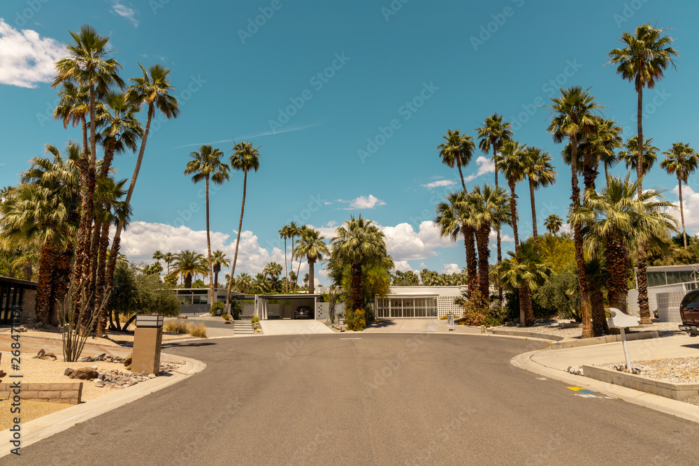 street of palm spring