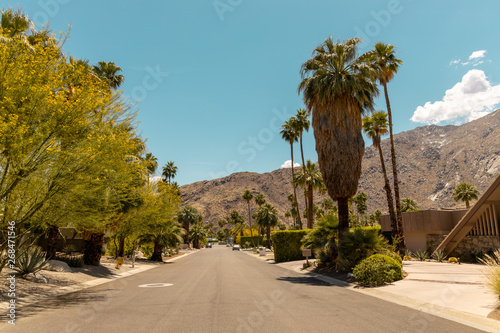 street of palm spring