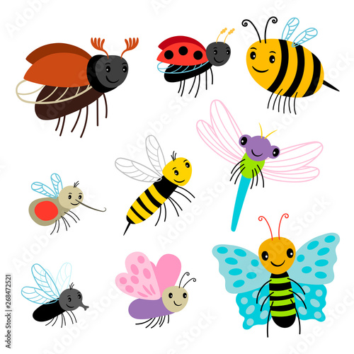 Flying insects vector collection - cartoon bee, butterfly, lady bug, dragonfly isolated on white background. Insect fly, dragonfly and bee illustration