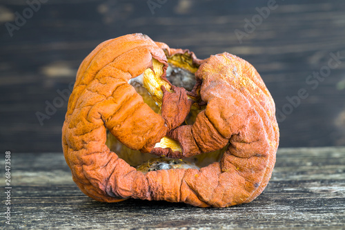 Rotted pumpkins