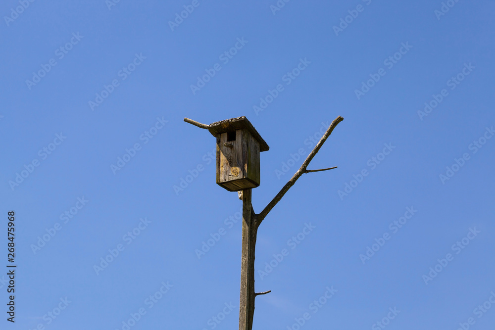 wooden nesting box