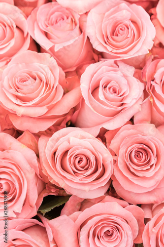 Background of pink and peach roses. Fresh pink roses. A huge bouquet of flowers. The best gift for women. vertical photo
