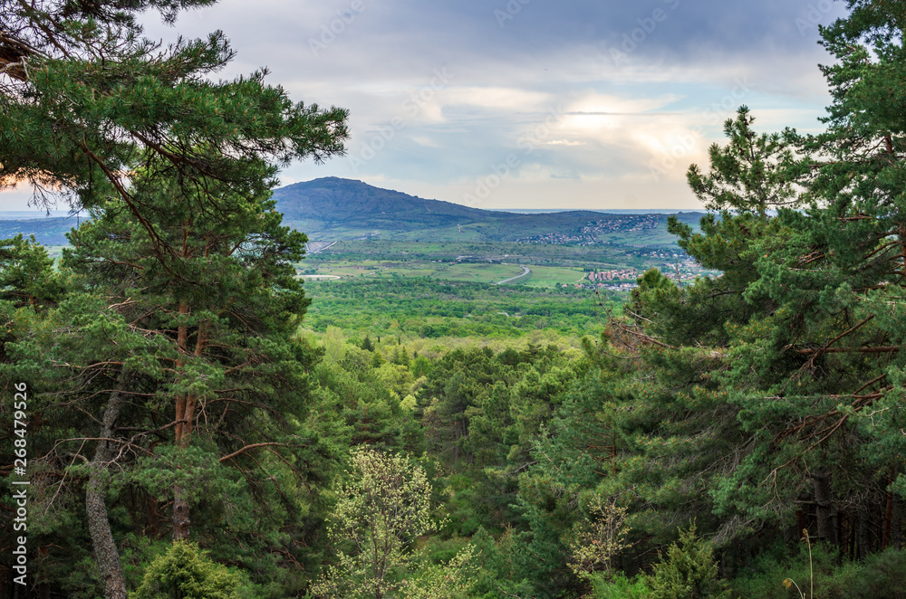 Landscape from the clearing of a forest Landscape from the clearing of a forest