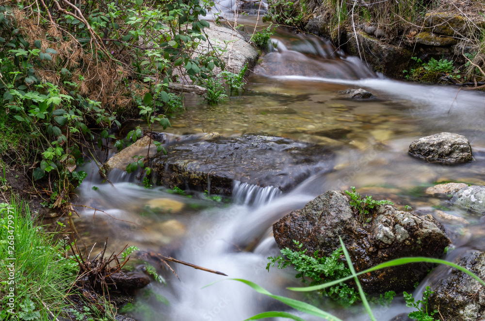 Quiet stream between the woods Quiet stream between the woods