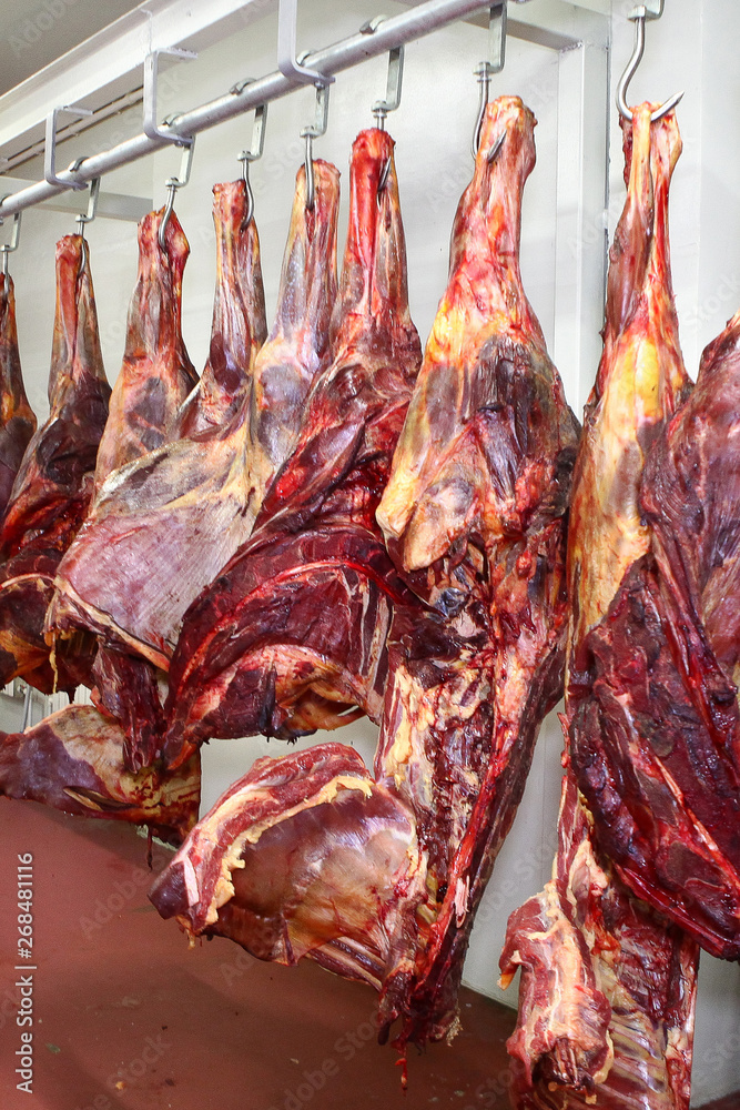 Horse carcasses hang in the shop for meat processing. Meat business concept.