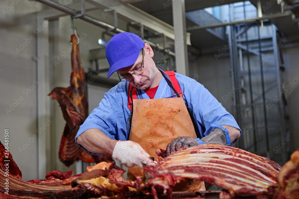 A slaughterhouse worker chops a horse carcass into portions. Making meat for further processing. Heavy labor at work. Protective clothing. The concept of meat processing production.