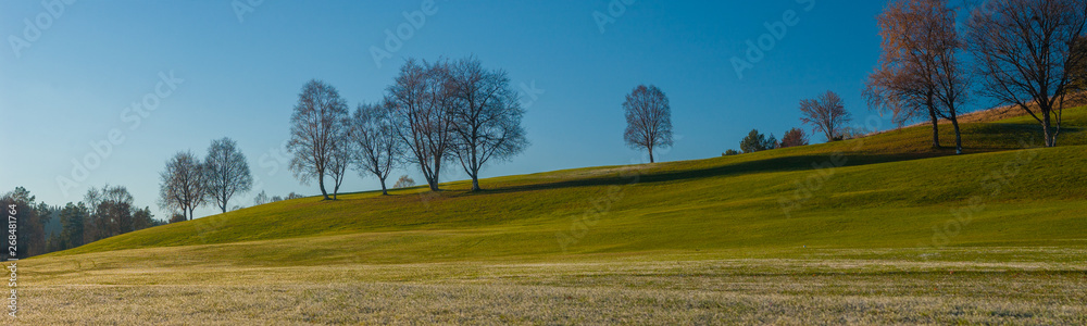 Trees on top of a green grass ridge. Frosty grass in the foreground.