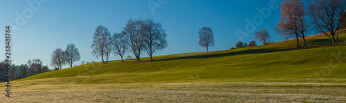 Trees on top of a green grass ridge. Frosty grass in the foreground.
