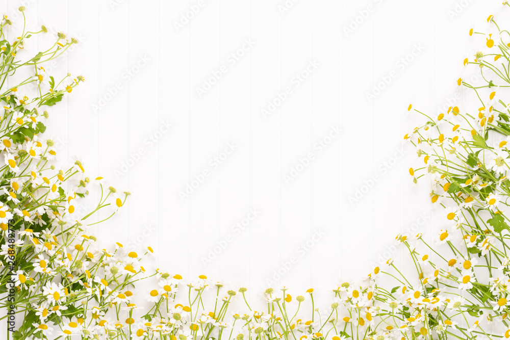 Chamomile flowers floral framee. Flat lay, top view. Chamomile flowers floral framee. Flat lay, top view.