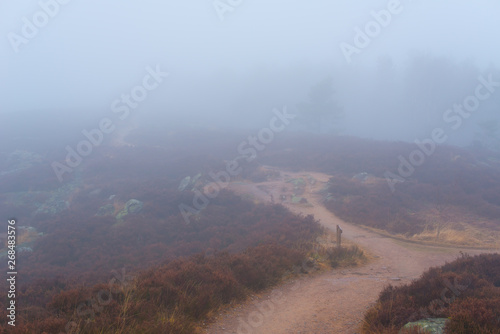 A path in a foggy landscape. © Trygve