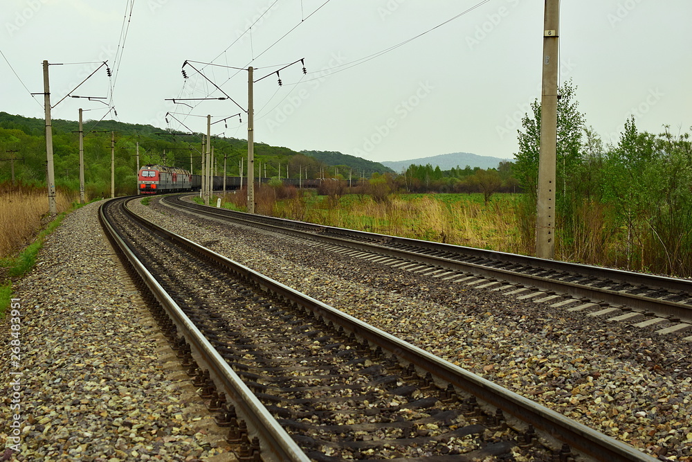 Parallel railway tracks with a train. In the distance there is a red train on the railway tracks. Green forest and overcast sky.