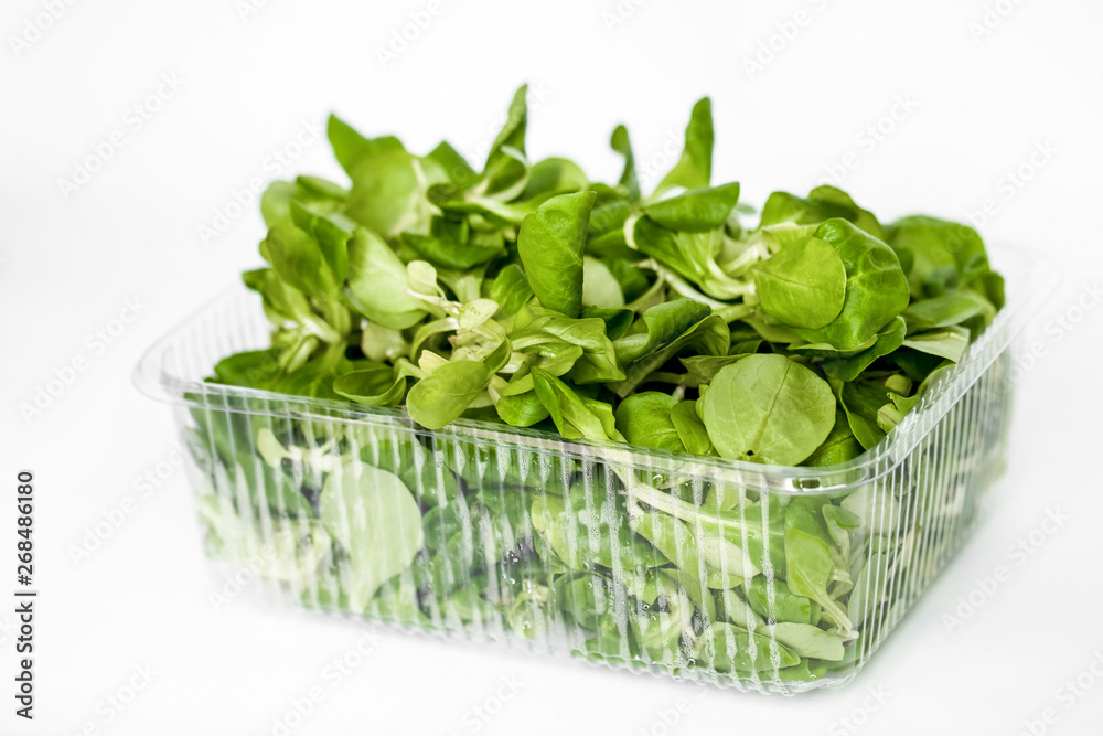 Juicy green spinach in a transparent container Juicy green spinach in a transparent container