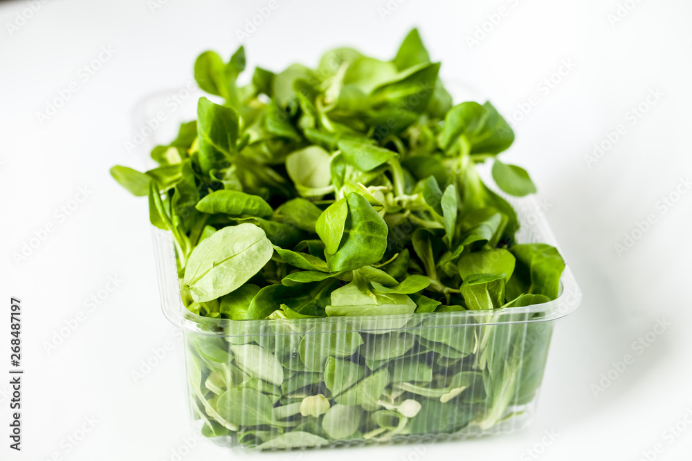 Juicy green spinach in a transparent container. Juicy green spinach in a transparent container.