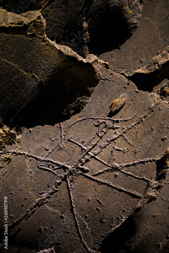 Penascosa Archaeological Site, Castelho Melhor, Côa Valley, Western Iberia, Portugal, Europe, Rewilding Europe photo