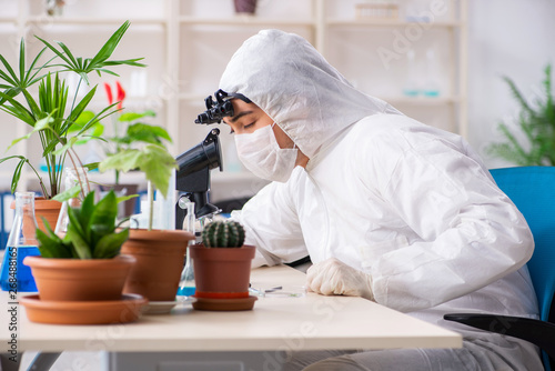 Biotechnology chemist working in lab