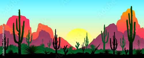 Stony desert with cacti. Sunset in a stony desert with cacti. Silhouettes of stones, cacti and plants. Desert landscape with cacti. The stony desert