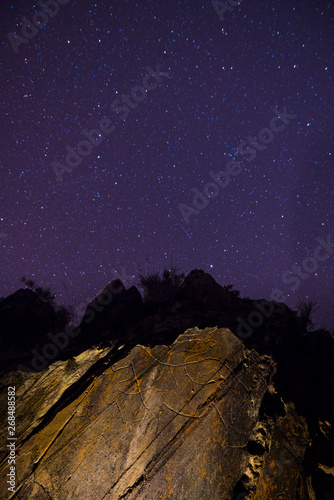 Penascosa Archaeological Site, Castelho Melhor, Côa Valley, Western Iberia, Portugal, Europe, Rewilding Europe photo