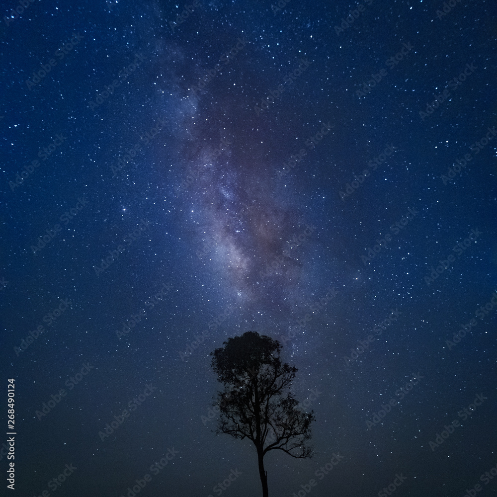 Milky way galaxy with stars and space dust in the universe. Milky way galaxy with stars and space dust in the universe.