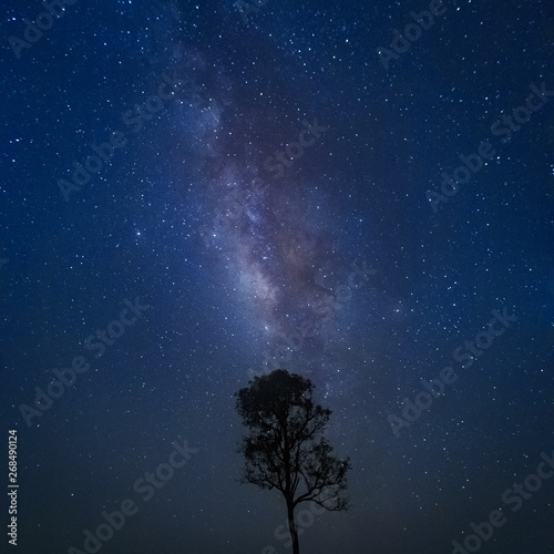 Milky way galaxy with stars and space dust in the universe. © PRASERT