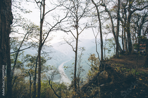 View from above of Teesta Valley Forest, Darjeeling, West Bengal, India