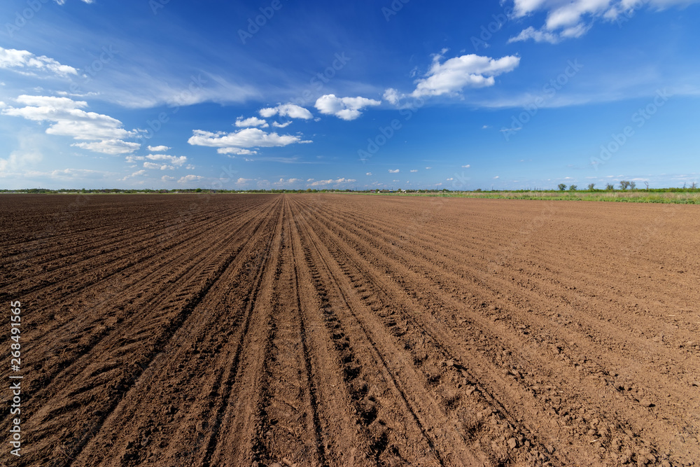 land on the field for planting \ bright spring photo ukraine midday land on the field for planting \ bright spring photo ukraine midday