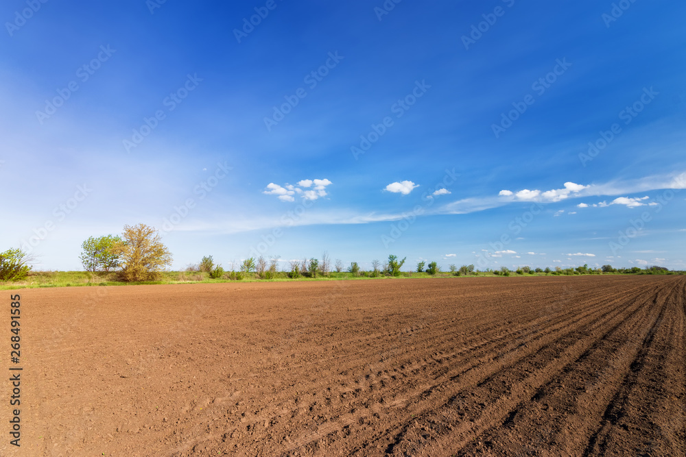 land on the field for planting \ bright spring photo ukraine midday