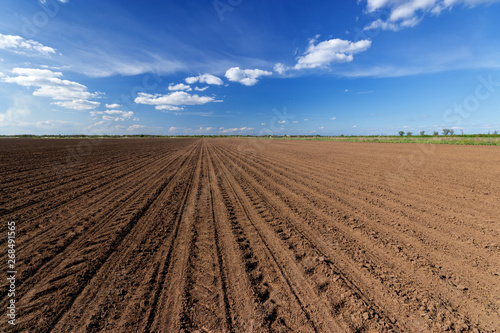 Wallpaper Mural land on the field for planting \ bright spring photo ukraine midday Torontodigital.ca