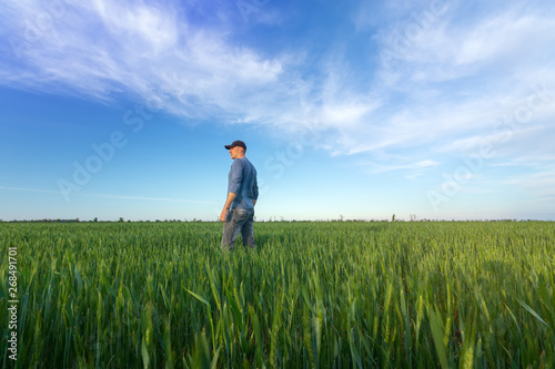 Wallpaper Mural people wheat field sunset / landscape spring field agriculture of Ukraine Torontodigital.ca