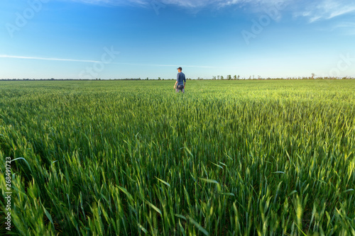 Wallpaper Mural people wheat field sunset / landscape spring field agriculture of Ukraine Torontodigital.ca
