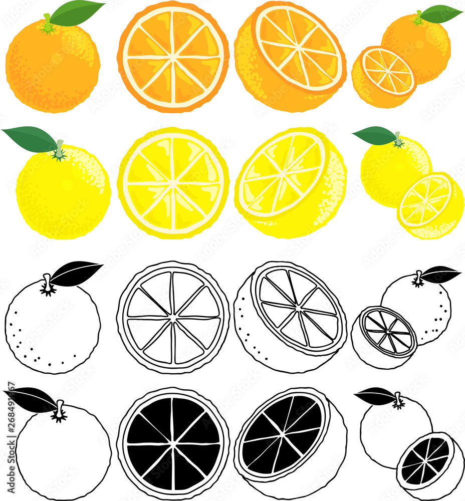 オレンジとグレープフルーツの可愛いアイコン Stock Vector Adobe Stock