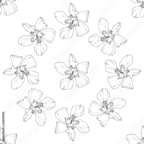 Seamless pattern. Plant in blossom  branch with flower ink sketch. Template for a business card  banner  poster  notebook  invitation  color book