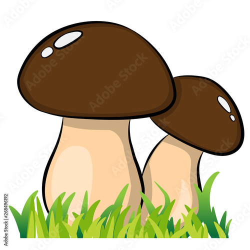 two cartoon mushrooms on white background vector