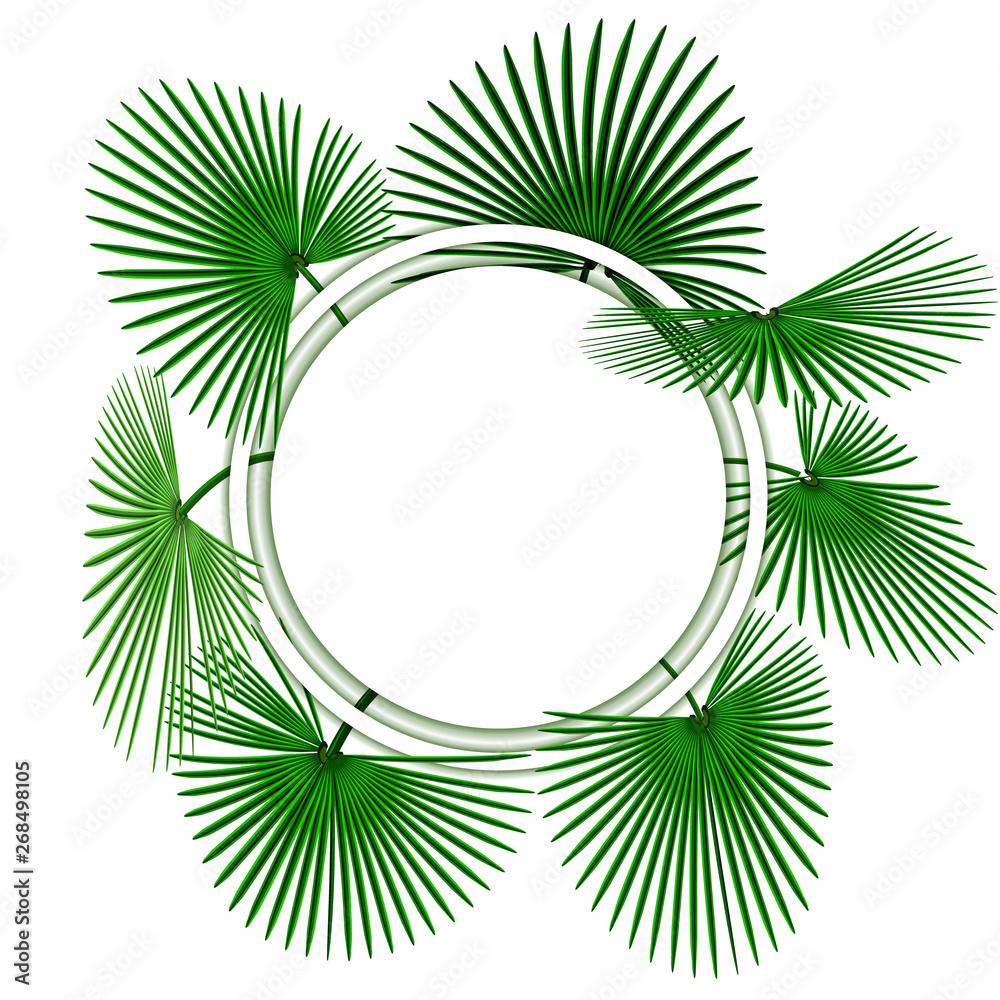 Green tropical palm leaves. In the circle. Advertising space. illustration Green tropical palm leaves. In the circle. Advertising space. illustration