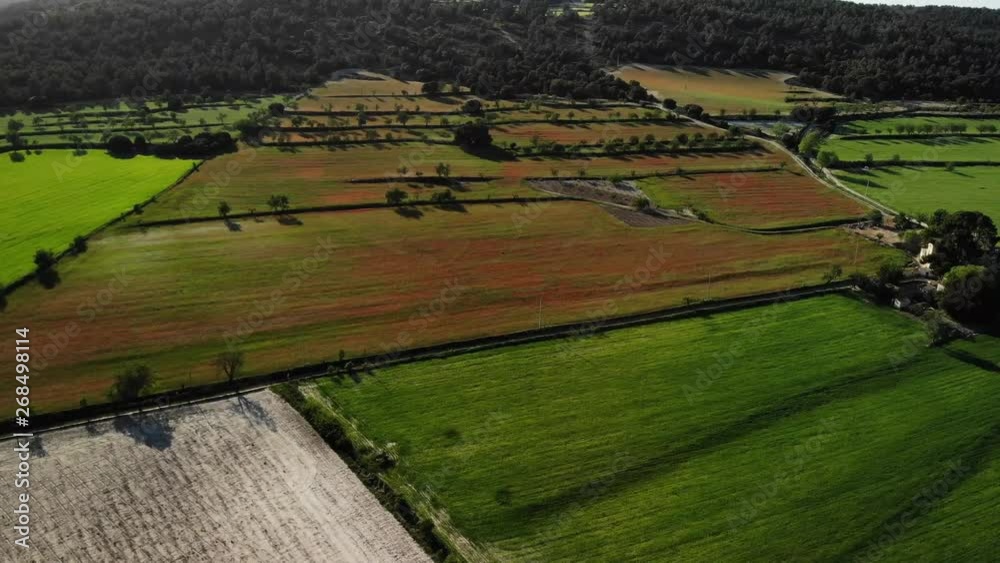 drone campo cultivo verde cosecha spain primavera
