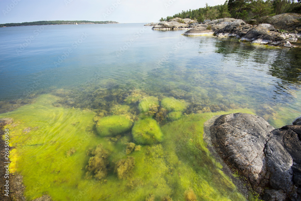 Rocky beach in the sea bay