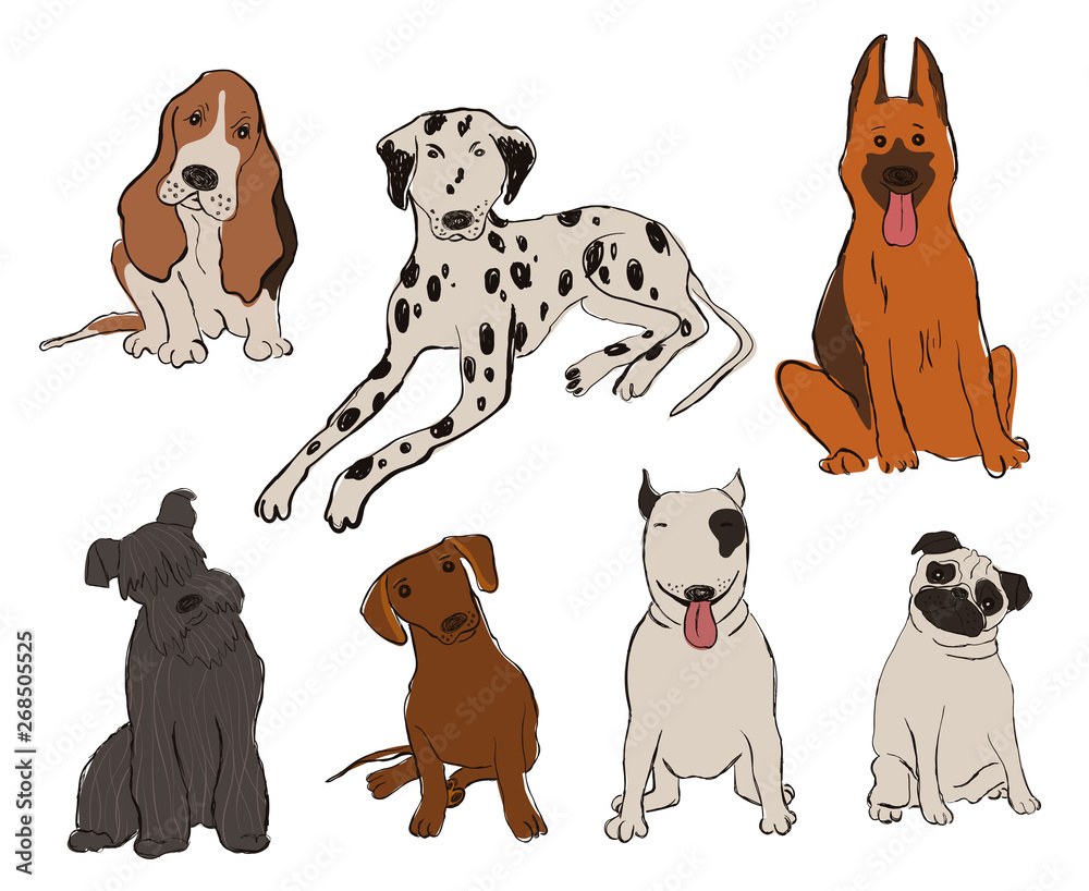 Fototapeta premium Collection Of Dog Breeds Icons