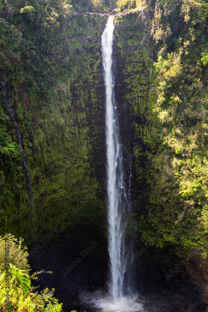 Obraz premium Beautifil Akaka falls near Hilo