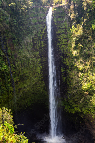 Beautifil Akaka falls near Hilo